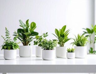 Fototapeta premium Plantas