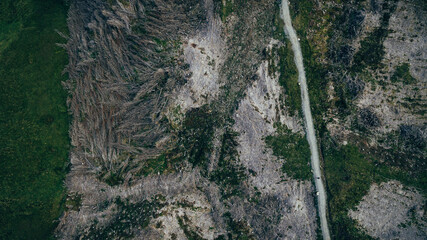 Aerial view of deforested area with a path cutting through the trees and a green field on the left