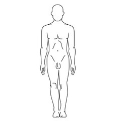 human body frontal silhouette vector