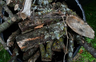 Wood Logs