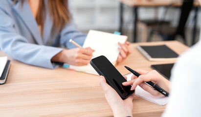 Professional business woman partner consulting the strategy at office.