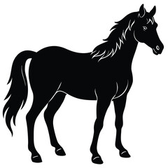 horse vector