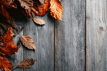 Falling Leaves in Autumn Nature Photography Rustic Wood Background Warm Colors Top View