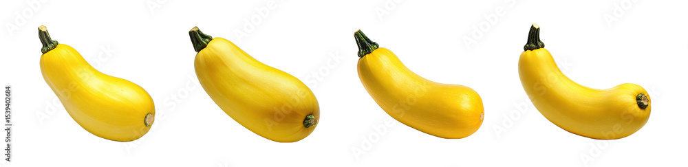 Poster set of yellow squash arranged isolated on transparent background