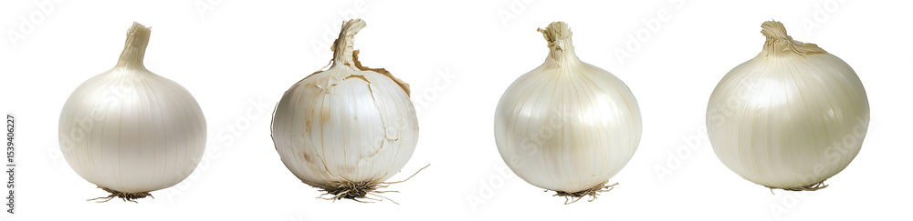Poster set of whole, isolated, white onions displayed isolated on transparent background