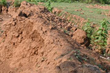 Pile of soil. The soil has been dug out and kept to make Clay brick. Red soil in Natural...