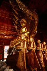 Golden sitting Buddha statue and there is a serpent covering the back in Buddhist Thai Church at Wat Den Sali Si Mueang Kaen temple. Located at Chiang Mai city in Thailand.