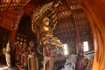 Golden sitting Buddha statue and there is a serpent covering the back in Buddhist Thai Church at Wat Den Sali Si Mueang Kaen temple. Located at Chiang Mai city in Thailand.