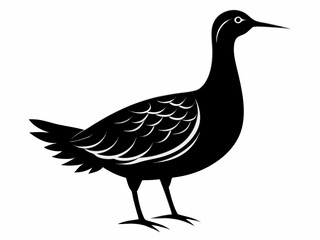 American Woodcock silhouette black color bird on white background