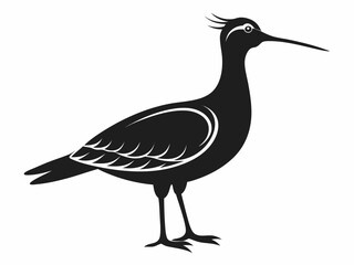 American Woodcock silhouette black color bird on white background