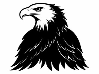 Bald Eagle silhouette black color bird on white background
