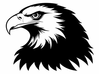 Bald Eagle silhouette black color bird on white background