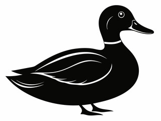 Mallard silhouette black color birds on white background