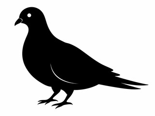 Mourning Dove silhouette black color bird on white background