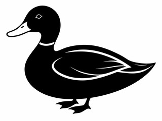 Mallard silhouette black color birds on white background