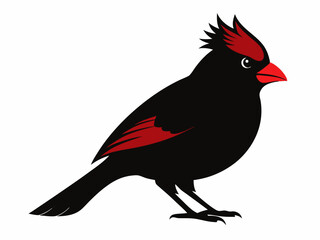 Northern Cardinal silhouette black color bird on white background