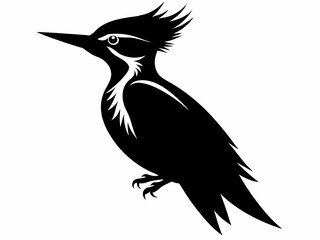 Pileated Woodpecker silhouette black color bird on white background