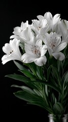 Elegant White Alstroemeria Flowers Bouquet  Dark Background  Floral Still Life Photography