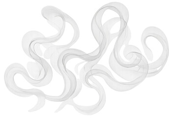 Obraz premium White smoke curling gracefully against transparent backdrop, generating ethereal motion