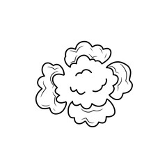 hand drawn comic explosion smoke cloud icon