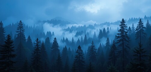 Misty mountain forest at dusk.