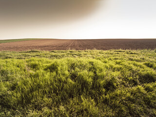 Bright spring grass contrasts with freshly ploughed brown soil on the gentle plains of Vojvodina,...