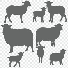 set of silhouettes of sheep. sheep illustration isolated on transparent background.