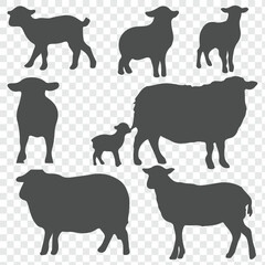 set of silhouettes of sheep. sheep illustration isolated on transparent background.