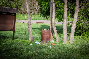 Rusted steel drum used as a garbage bin in a grassy woodland clearing, overflowing with plastic...