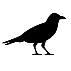 Mysterious Black Crow Silhouette for Halloween Decor and Artistic Designs