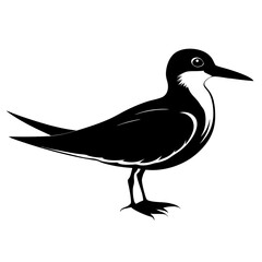 Black Skimmer black bird vector silhouette illustration on white background