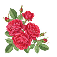 深紅薔薇 優雅な花束