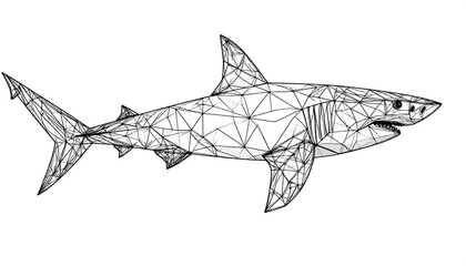 Wireframe Shark Ocean Predator Art.