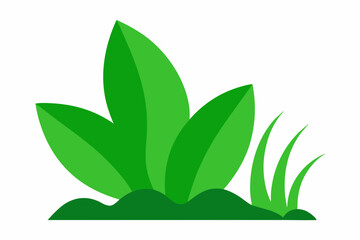 Simple green leaf and grass illustration