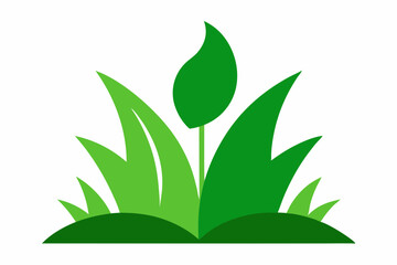 Simple green plant illustration for eco design