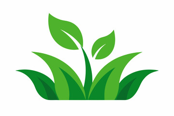 Simple green plant leaves and grass illustration