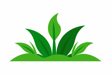 Simple green plant illustration on white background