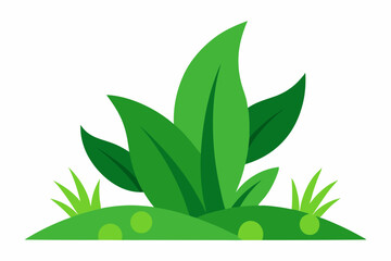 Simple cartoon green plant illustration