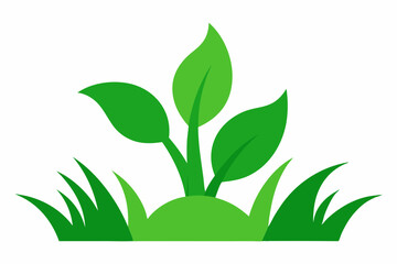 Simple green plant with grass illustration