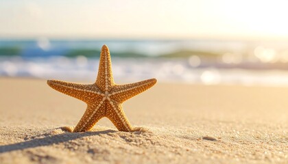 Starfish on sunny beach.