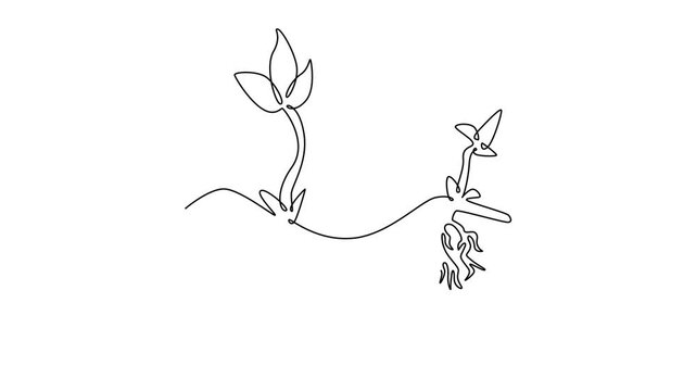 Tree roots concept . Single line draw design. Full length animation illustration. High quality 4k footage