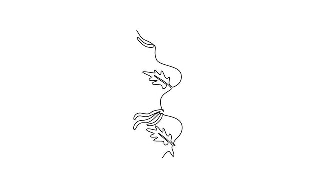 Tree roots concept . Single line draw design. Full length animation illustration. High quality 4k footage