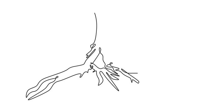 Tree roots concept . Single line draw design. Full length animation illustration. High quality 4k footage