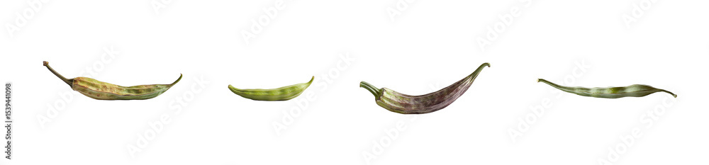 Poster close-up view of various seed pods isolated on transparent background