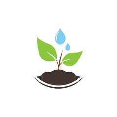 Vector illustration of a small plant growing and water drops on a white background.