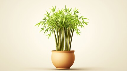 Potted bamboo plant, light beige background