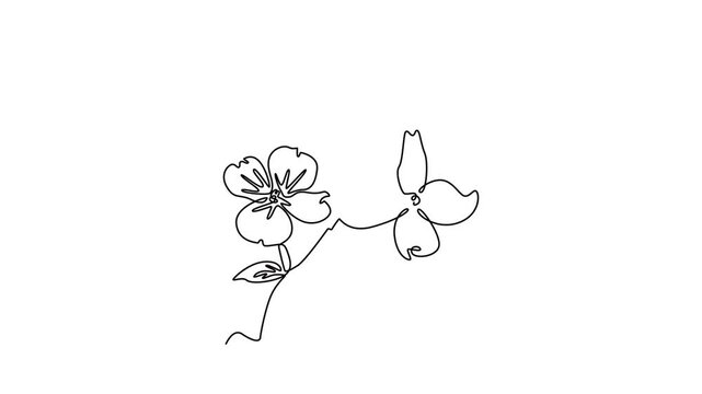  Floral with branch concept. Single line draw design. Full length animation illustration. High quality 4k footage