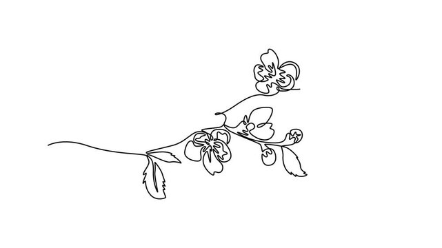  Floral with branch concept. Single line draw design. Full length animation illustration. High quality 4k footage