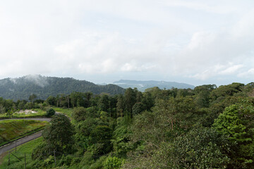 Fototapeta premium A view from Gunung Raya on Langkawi, showing vast lush forests and distant misty mountains under a cloudy sky.