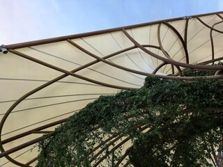 Organic Fabric Canopy Roof Structure with Green Vines